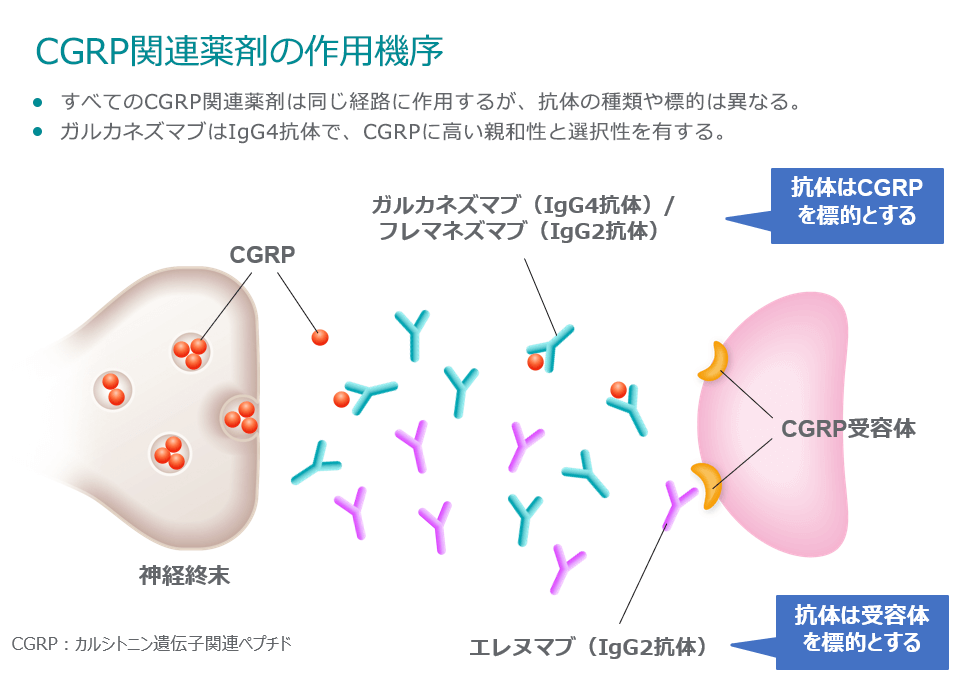頭痛 ひふみ頭痛外来 on X: 